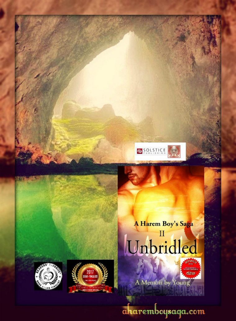 Unbridled A Harem Boys Saga Book 2 English Edition Free Epub concernant Dictionnaire Des Mots Croisés Gator