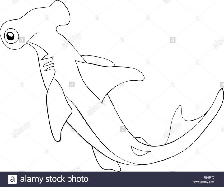 Une Jolie Image De Requin Pour L'activité De Détente.un pour Coloriage Requin À Imprimer