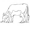 Vache #119 (Animaux) – Coloriages À Imprimer avec Coloriage Tracteur Tom À Imprimer