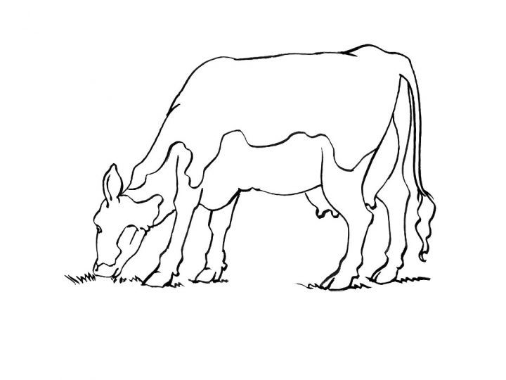 Vache #119 (Animaux) – Coloriages À Imprimer avec Coloriage Tracteur Tom À Imprimer