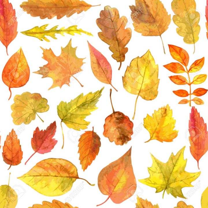 Vecteur Seamless Feuilles D'automne Dessin De Aquarelle, Éléments  Vectoriels Dessinés À La Main tout Dessin De Feuille D Automne