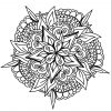 Vegetal Hand Drawn Mandala - Simple Mandalas - 100% Mandalas pour Dessiner Un Mandala