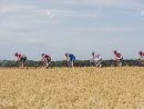 Vendeuvre-Sur-Barse, France - 6 July, 2017: A Group Of Six Cyclists In  Front Of The Peloton Pass Through A Region Of Wheat Fields During The Stage  6 intérieur Region De France 2017