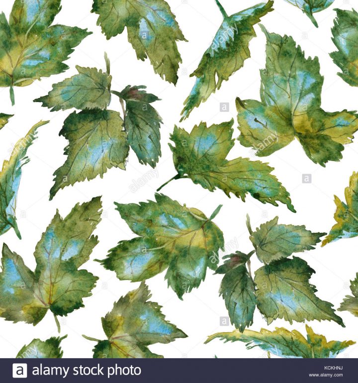 Vert Et Bleu Belle Main Aquarelle Dessin Motif Feuilles D avec Dessin De Feuille D Automne