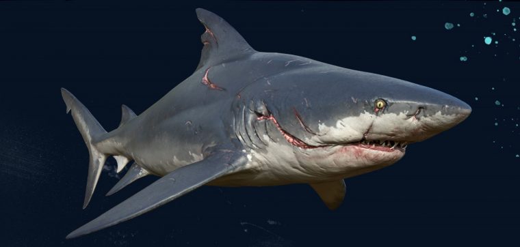 Vidéo : Le Requin De Maneater Sème Le Chaos Aux Game Awards pour Requin Jeux Video