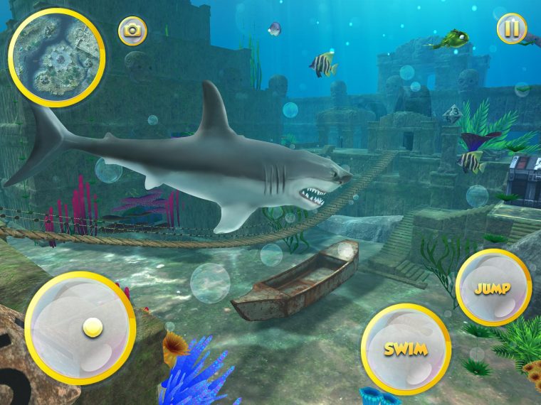 Vie Du Grand Requin Blanc: Simulation De Mégalodon Pour destiné Jeux Gratuit Requin Blanc