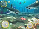 Vie Du Grand Requin Blanc: Simulation De Mégalodon Pour destiné Jeux Gratuit Requin Blanc