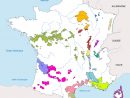 Vignoble De France - Liste Des Vignobles Français - Vin à Liste Des Régions De France