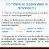 Vocabulaire Cm Le Dictionnaire. - Ppt Télécharger serapportantà Chercher Les Mots