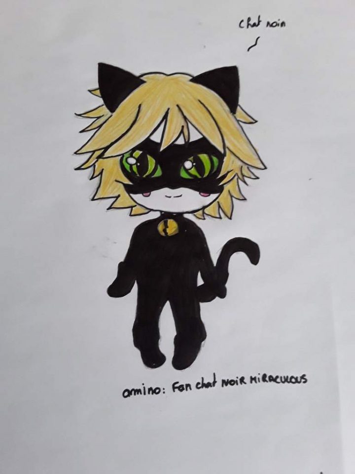 Voilà Un Petit Dessin De Mon Minou Préférer concernant Minou Dessin