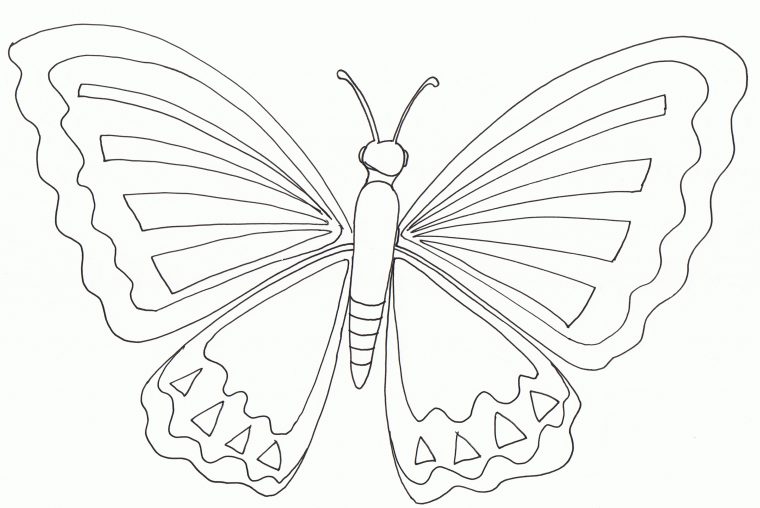 Vol De Papillon – Coloriages De Papillons serapportantà Dessin Papillon À Colorier