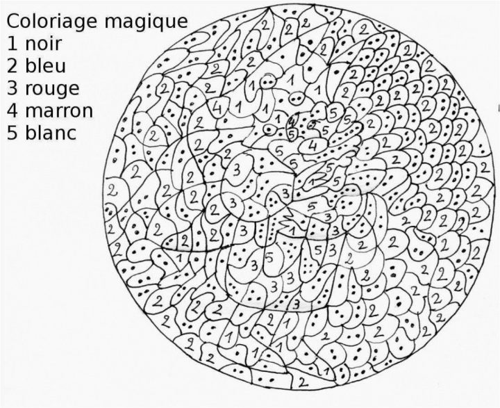 Vous Pouvez Télécharger Et Imprimer Coloriage Numéroté dedans Coloriage