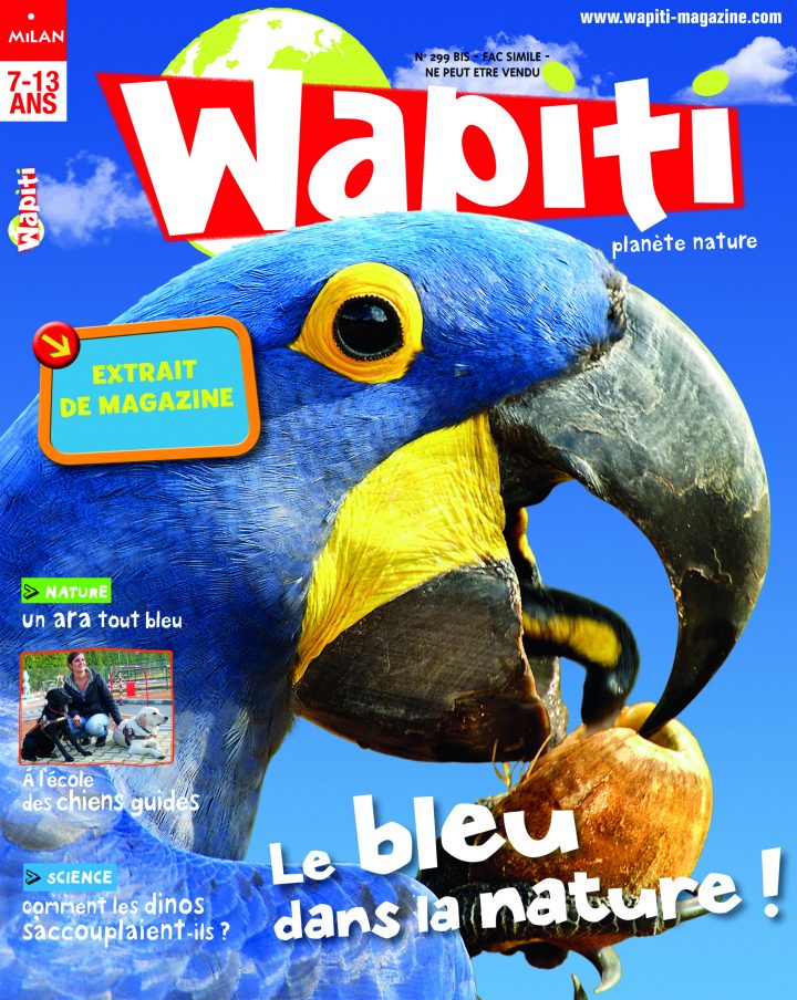 Wapiti pour Mots Fleches Solution