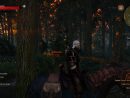 Witcher 3 Explore - Rds Jeux Vidéo encequiconcerne Jeux De Secs
