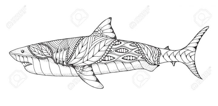 Zentangle Et Pointillé Stylisé, Grand Requin Blanc. Vector, Illustration,  Motif. Art Zen Illustration En Noir Et Blanc Sur Fond Blanc. Livre De destiné Coloriage Requin Blanc Imprimer