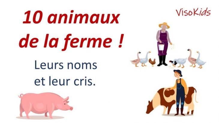 10 Animaux De La Ferme | Apprendre Leurs Noms Et Cris Pour avec Bruit Des Animaux De La Ferme