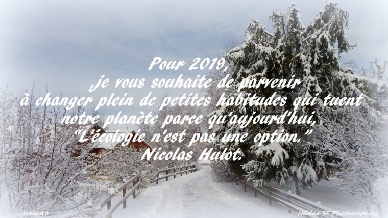 12 Cartes De Vœux De Bonne Année 2019 Gratuites Et Bonnes dedans Carte De Bonne Année Gratuite A Imprimer