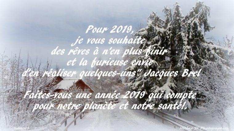 12 Cartes De Vœux De Bonne Année 2019 Gratuites Et Bonnes encequiconcerne Carte De Bonne Année Gratuite A Imprimer