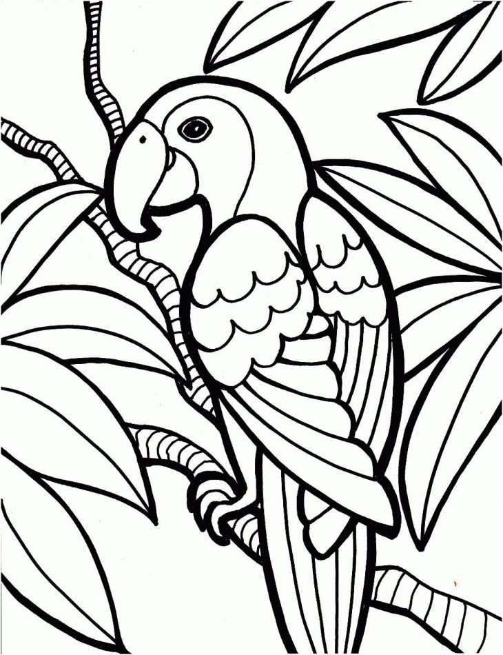 12 Cher Perroquet Coloriage Image | Coloriage, Image Coloriage serapportantà Perroquet Coloriage A Imprimer