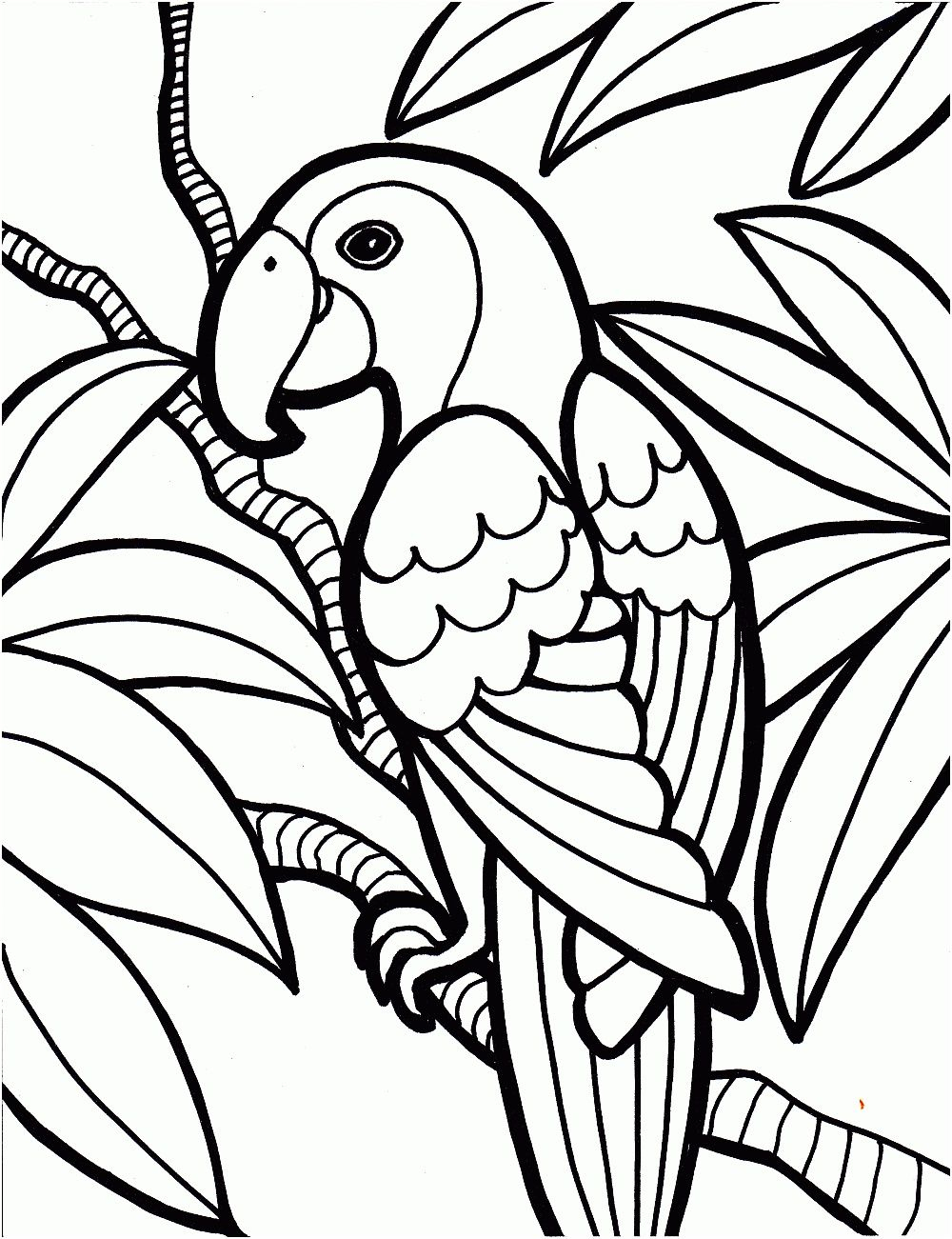 12 Cher Perroquet Coloriage Image | Coloriage, Image Coloriage serapportantà Perroquet Coloriage A Imprimer 