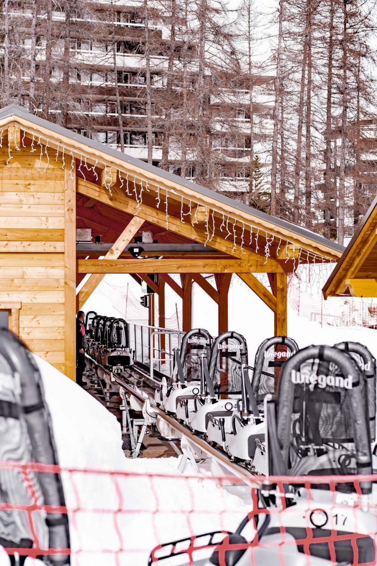 2 Jours À Vars : Chien De Traîneau Et Luge Sur Rail Dans La dedans Chien Qui Fait De La Luge