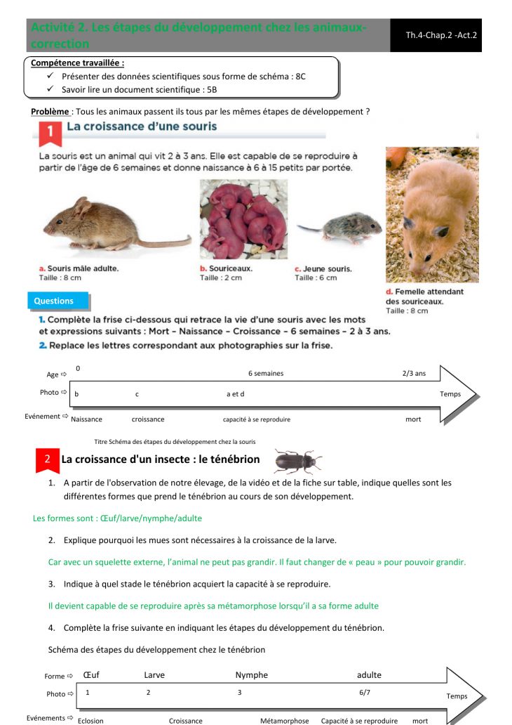 Activité 2. Les Étapes Du Développement Chez Les Animaux dedans Animaux Maternelle Activités