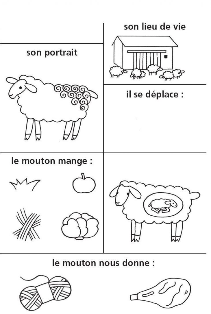 Activités Autour De La Ferme | Ferme Préscolaire, Animaux De dedans Animaux Maternelle Activités