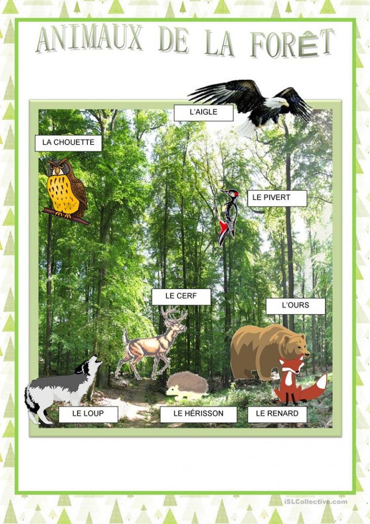 Affiches – Animaux De La Forêt – Français Fle Fiches avec Animaux Foret Maternelle