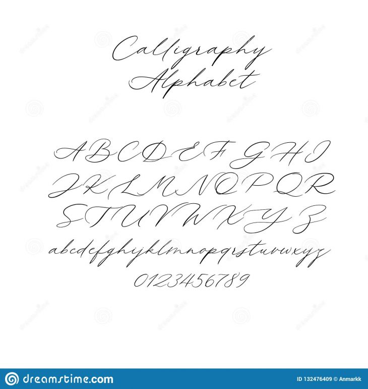 Alphabet De Calligraphie De Vecteur Lettres Exclusives tout Modele Calligraphie Alphabet Gratuit