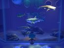 Animal Crossing: New Horizons – Comment Attraper Des Requins à Requin Jeux Gratuit