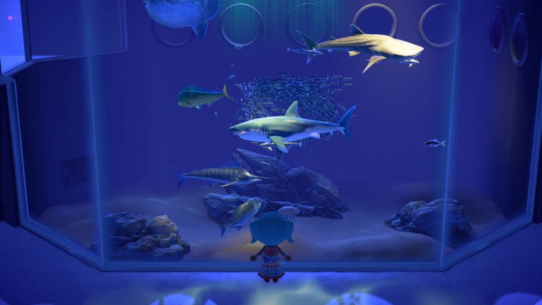 Animal Crossing: New Horizons – Comment Attraper Des Requins à Requin Jeux Gratuit