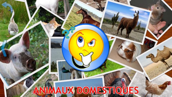 Animaux Pour Les Enfants, Jeux Bébé Gratuit Pour Android pour Jeux De Bébé Animaux Gratuit