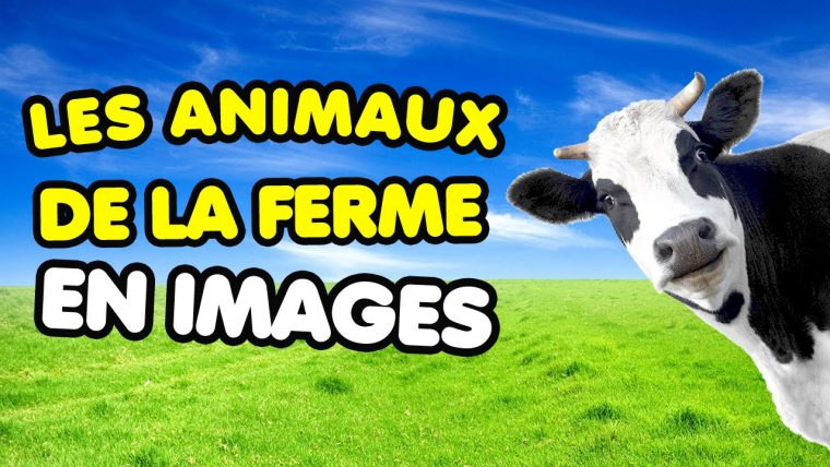 Apprendre Les Animaux De La Ferme Avec Les Images – Imagier serapportantà Les Animaux De La Ferme Maternelle