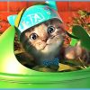 Apprenez Avec Le Chat Le Plus Mignon! Jeux De Dessin Animé Éducatif Pour  Les Enfants - Little Kitten dedans Jeux De Dessin De Chat