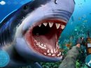 Attaque De Requin En Colère: Jeux Chasse Haute Mer Pour concernant Requin Jeux Gratuit