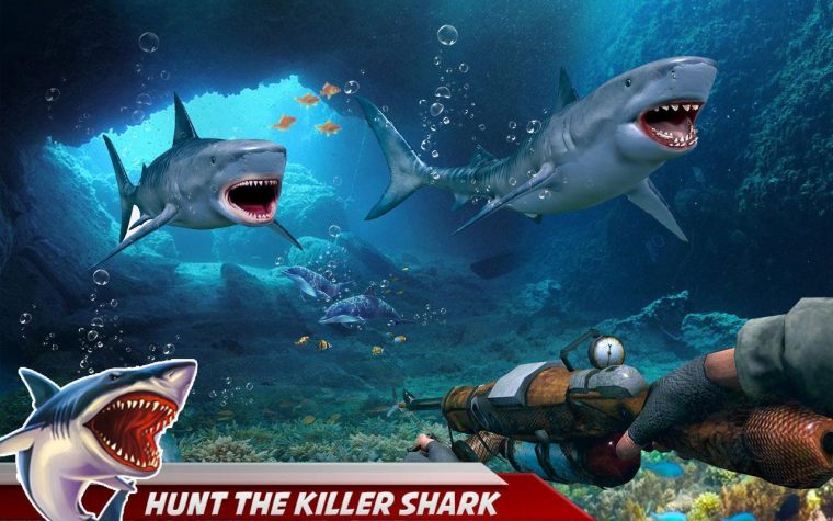 Attaque De Requin En Colère: Jeux Chasse Haute Mer Pour intérieur Requin Jeux Gratuit