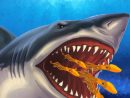 Attaque De Requin Meilleur Jeu Gratuit Jeux De Puzzle Fun pour Requin Jeux Gratuit