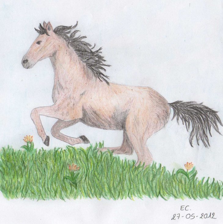 Au Crayon De Couleur : Iris / Cheval | Havre De Pensées & De tout Cheval Dessin Couleur