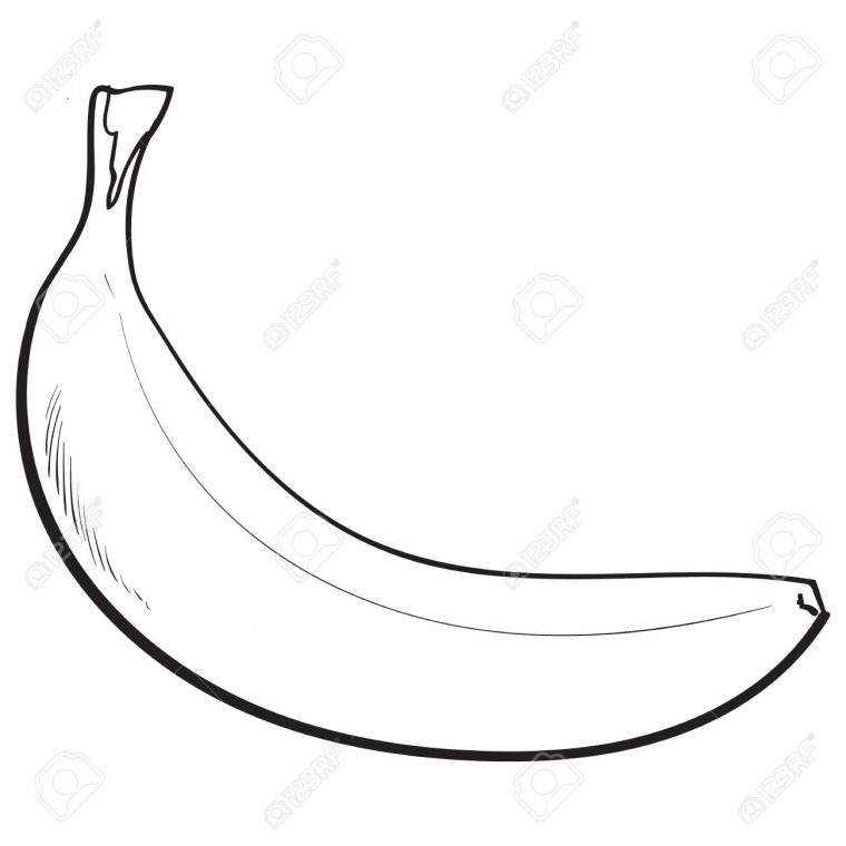 Banane Mûre Non Ouverte, Non Pelée Noir Et Blanc, Illustration De Style De  Croquis Isolé Sur Fond Blanc. Dessin Réaliste À La Main D'une Seule Banane pour Dessiner Une Banane