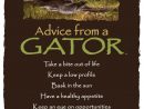 Be Thick-Skinned.&quot; Advice From A Gator | Thick Skin Quotes encequiconcerne Mots Gator