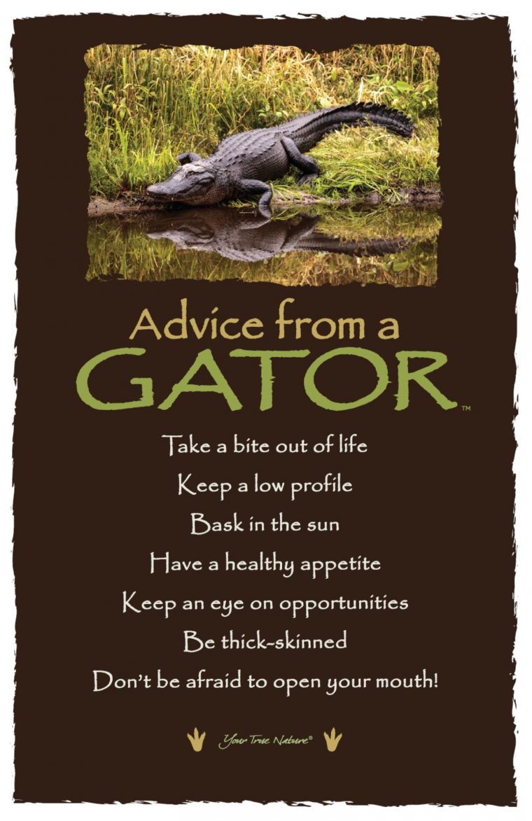 Be Thick-Skinned." Advice From A Gator | Thick Skin Quotes encequiconcerne Mots Gator