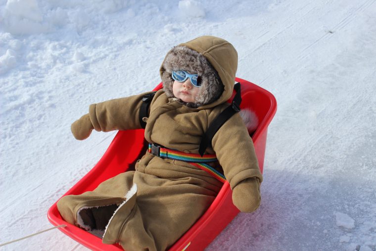 Bébé Et Jeunes Enfants Par Grand Froid | Carnets Nordiques encequiconcerne Chien Qui Fait De La Luge