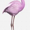 Bird Greater Flamingo, Bird Png | Pngwave concernant Pixel Art Flamant Rose