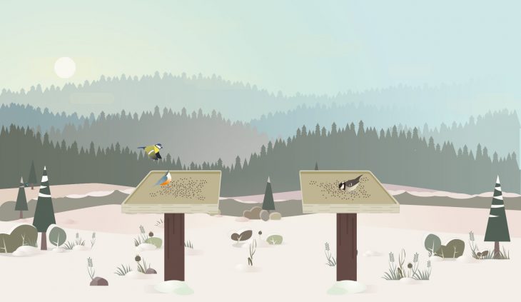 Birdlab, Un Jeu De Science Participative Autour Des Oiseaux encequiconcerne Jeux De Oiseau Gratuit