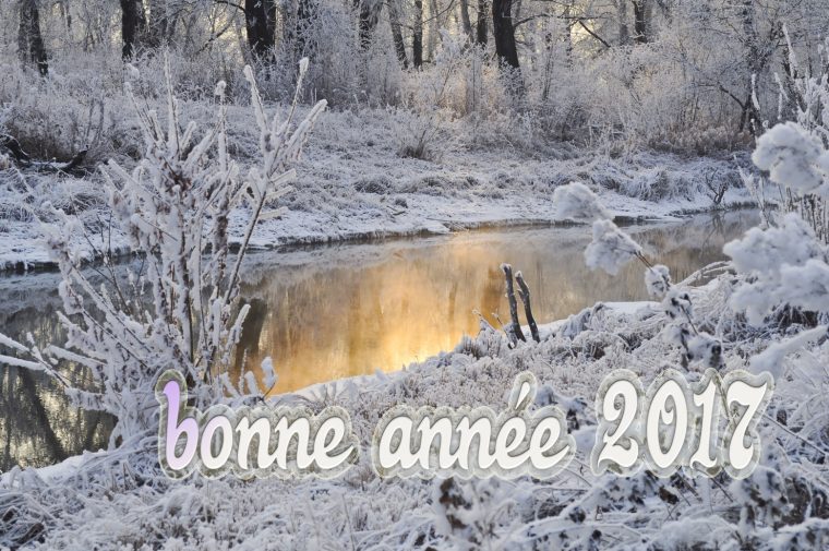 Bonne Année 2017 Cartes De Voeux Gratuites | Images destiné Carte De Bonne Année Gratuite A Imprimer