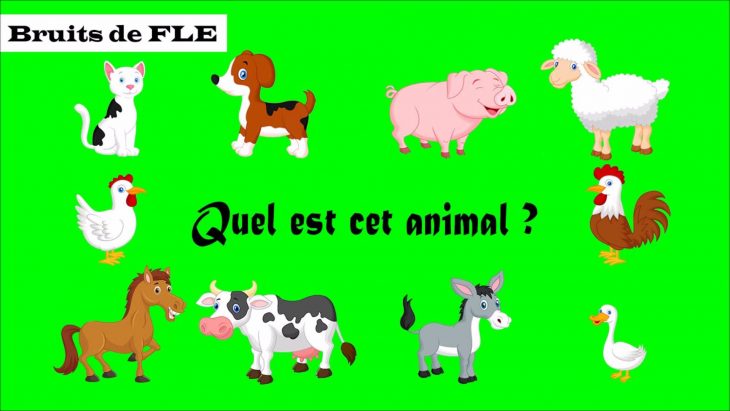 Bruits De Fle】 Quel Est Cet Animal ? (Les Animaux dedans Bruit Des Animaux De La Ferme