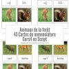 Cartes De Nomenclature - Animaux De La Forêt (43 Cartes + concernant Animaux Foret Maternelle