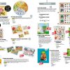 Catalogue Bourrelier Education 3 6 Ans 2018 By Bourrelier dedans Apprendre Les Saisons En Maternelle