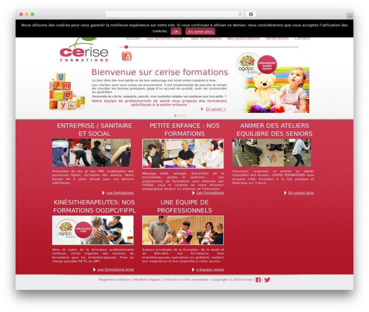 Cerise Best WordPress Template By Weblizar – Ceriseformations.fr pour Site Pour Tout Petit