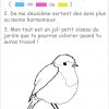 Charade Oiseau 1 - Margareth pour Charade A Imprimer